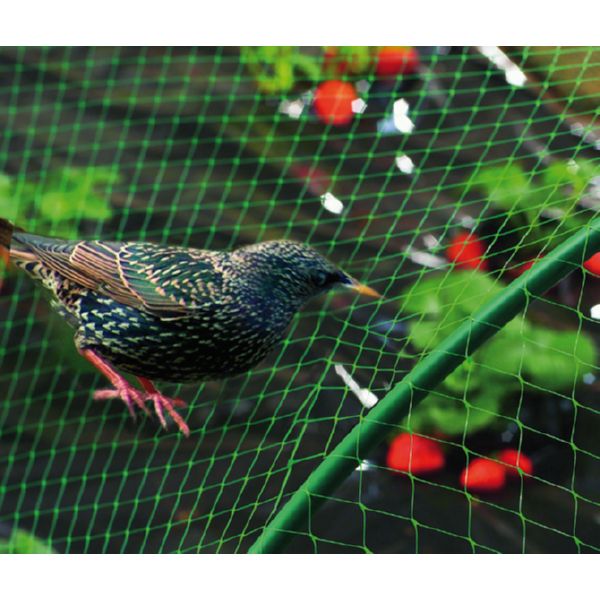 MALLA ANTIPAJAROS BIRDNET 5380/4X12M VDE
