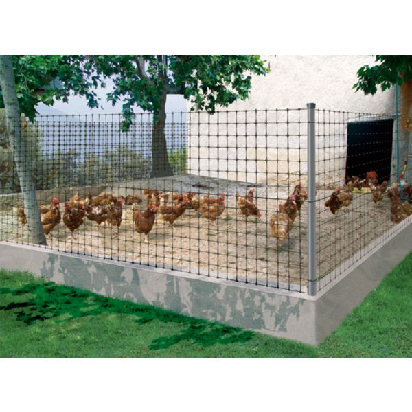 MALLA GALLINERA AVINET 36 NEGRA 2X200M